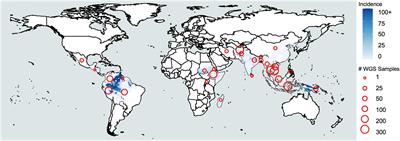 Population genomics in neglected <mark class="highlighted">malaria parasites</mark>